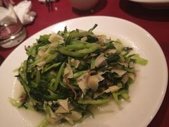 鸡毛菜百叶丝-老吉士酒家(天平路店)