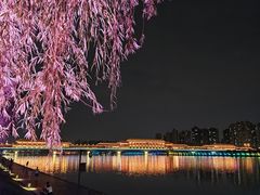 -咸阳湖景区