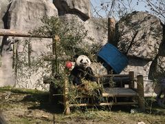 -野生动物园-停车场
