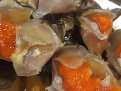 -普乐酱蟹(coex店)