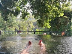 -云涛森林温泉