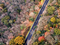 -宝界山林公园