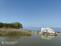 -吴淞炮台湾湿地森林公园烧烤区