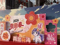 -荷兰花海