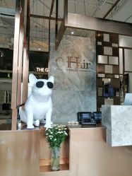-OnHair Salon