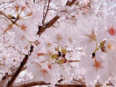 -玄武湖景区-情侣园游乐场