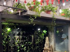 -甲大帅·甲鱼·椰子鸡主题餐厅(唐家店)