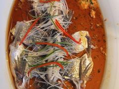 -丹江渔村(望京店)