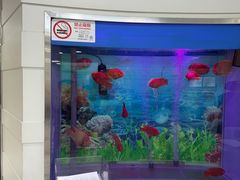 -雅悦齿科(顾村公园店)