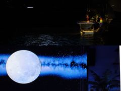 -海合安武汉极地海洋公园
