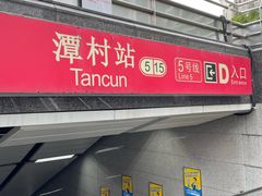 -潭村(地铁站)