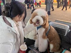 -詹记桃酥(宿州路店)