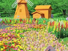 -苏州上方山国家森林公园
