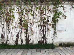 -青果巷历史文化街区