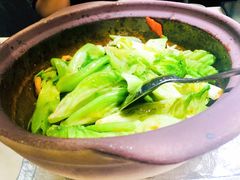 啫啫生菜煲-陶陶居酒家(海岸城店)