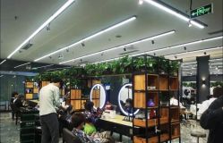 点击看大图 -藤野造型