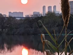 -金银湖国家城市湿地公园