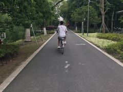 -昆山城市生态森林公园