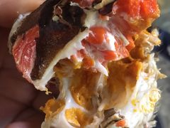 -黄记大闸蟹专卖店·活蟹·醉蟹