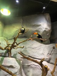 -Zoolung Zoolung动物主题公园(海信广场店)