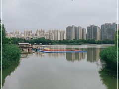 -南翔镇银翔湖公园