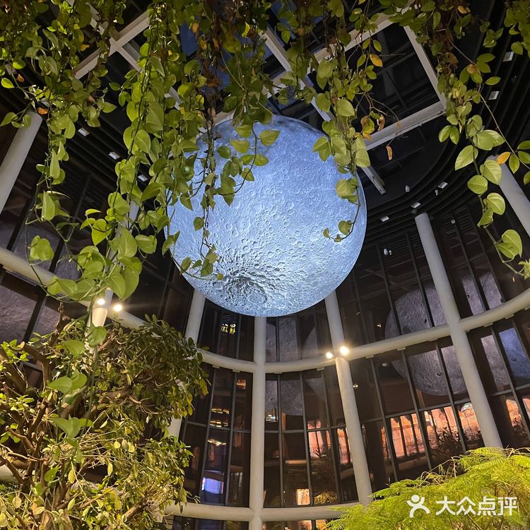 是谁在商场升起了月亮?