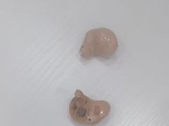 -自然之声助听器·呼吸机(兰考店)