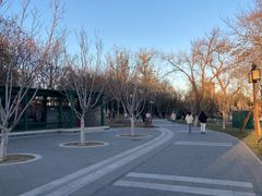-西海子公园