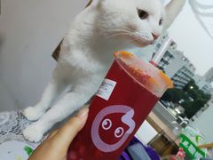 -CoCo都可(宝龙广场店)