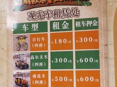 -泉城欧乐堡海洋极地世界