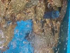 -舌尖上·霞浦滩涂海鲜·新闽菜(总店)