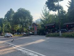 -青城甲(青城山店)