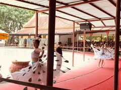 -西双版纳勐泐文化旅游区