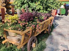 -维乐口腔医院(福清院)