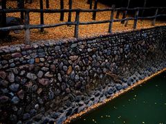 -温州永嘉书院
