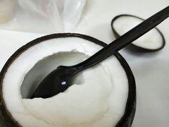 -志龙皇冠吃货椰子铺