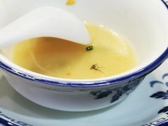 -林城渔味源参鱼片火锅(西城大院店)