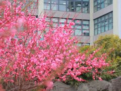 -东林广场(地铁站)