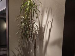 -花锦堂·隐庐