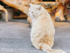-炊烟餐厅