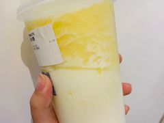 -春丽小马(济南恒隆广场店)