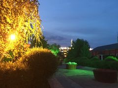 -新疆风味冷水鱼庄(友谊峰路店)