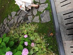 -常州古运河南大街文化旅游区-人民公园