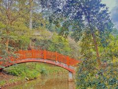 -南宁荔园维景国际酒店·荔园中餐厅