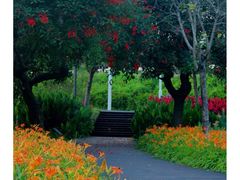 -厦门湾·白塘湾火山公园