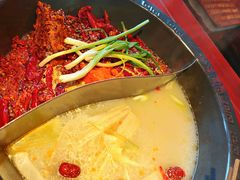 -袁老四重庆老火锅(桐梓坡店)