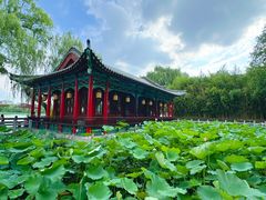 -济南大明湖景区