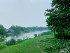 -尚贤河湿地