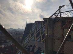 -斯蒂芬主教座堂(Stephansdom)