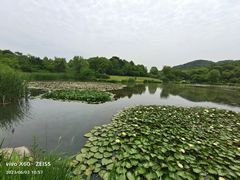 -南山渔宴